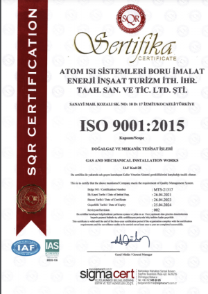 

                                ISO 9001 - 25.04.2024